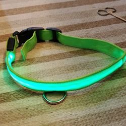 Led Glow dog collar