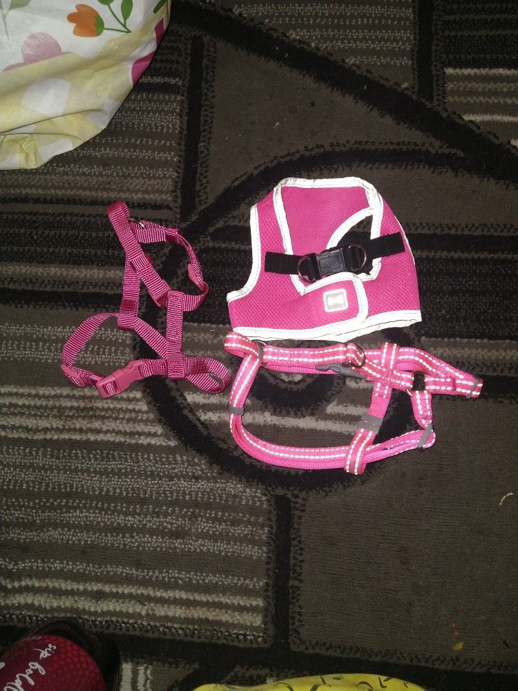 2 Medium Female Dog Harnesses And One Harness Jacket