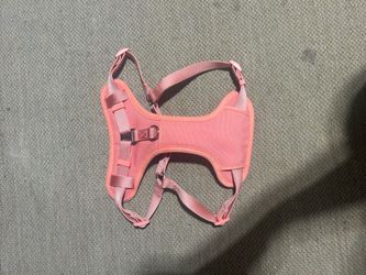 Dog Harness