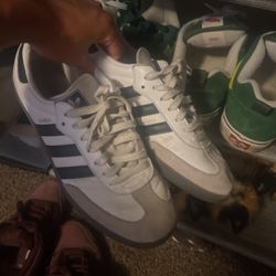 Nike Sb Dunks, Adidas Sambas, Knu School Vans 