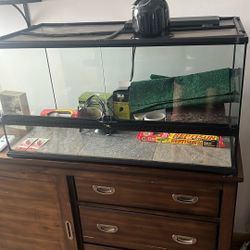 Reptile kit
