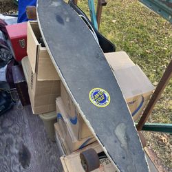 SANTA CRUZ GANESH PINTAIL SKATEBOARD COMPLETE-9.9x43.5 cruiser