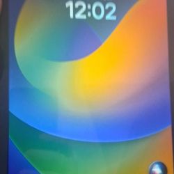 Apple ipad 32 gigs 9.7 inch 5th generation