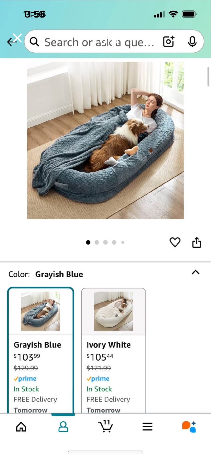 Human Dog Bed