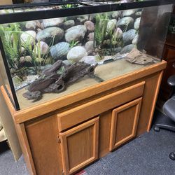 55 galons fish tank whit stand for reptiles 🐊 