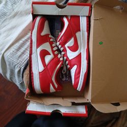 Nike Dunk Size 9 Men