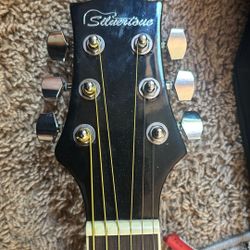 Silvertone Guitar 