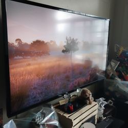 65' VIZIO TV