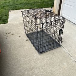 Dog Crate
