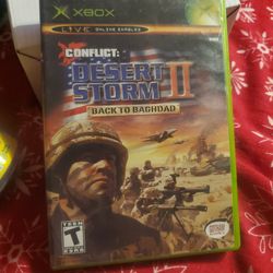 Conflict Desert Storm 2 back to Baghdad 