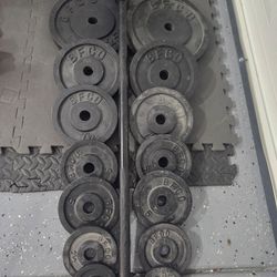 Weight Plates Barbell Weightlift Workout Excercise bench press curl metal Plates 1inch hole BFCO metal Plates