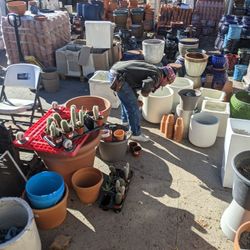 11/12/21 - Come Grab My Private Pots - Plants & Planters for Sale