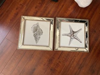 Seashell frames