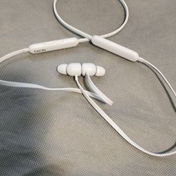 Apple Beats Flex Headphones