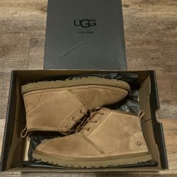 Uggs Men