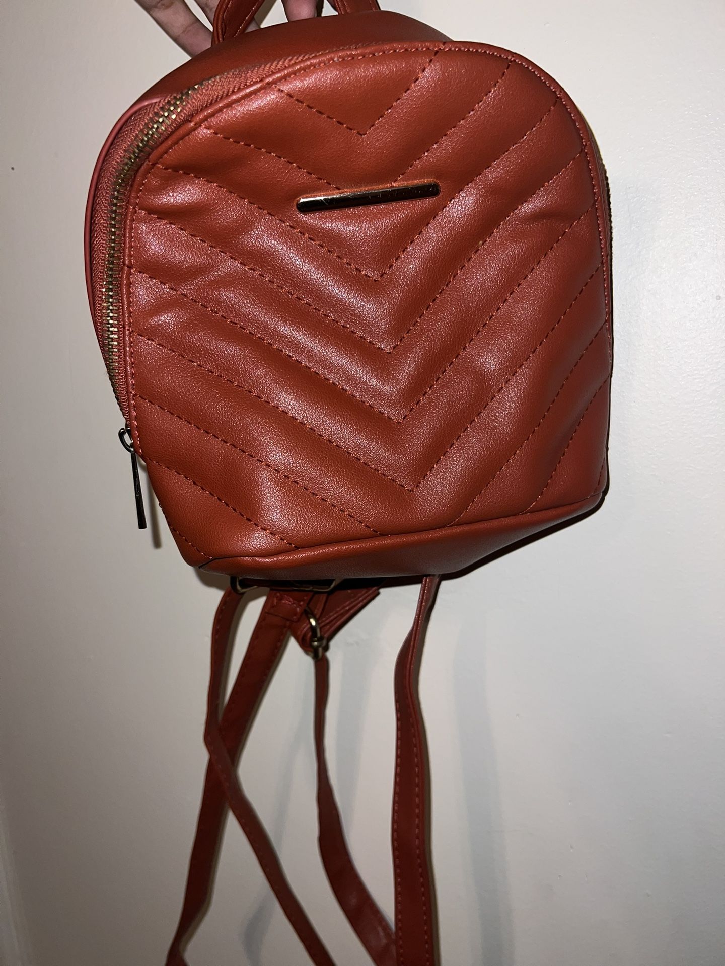 Small Backpack Purse Type Thing