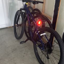 Blue Mountain Bike