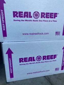 Real Reef Rock