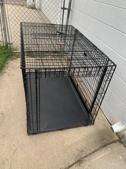 Kong 3xl Dog Crate Xxl Kong Pet Crate Kong Metal Dog Crate Space