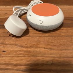Google Alexa Device