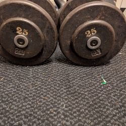25lbs Dumbbells 