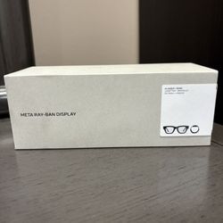 Meta Ray Ban Displays