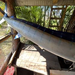 sailfish-style fiberglass taxidermy mount