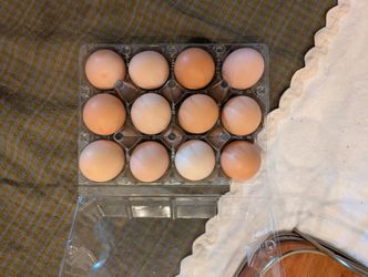 Cage-Free Backyard Eggs