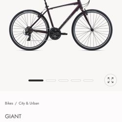 Giant Escape Bike 