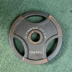 25 LB Iron Weight Plate