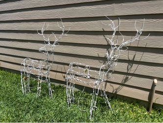 Christmas light up Deers