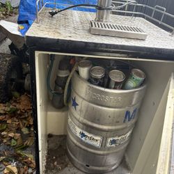 Beer Refrigerator/Kegerator With extras 🍺