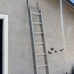 Ladder 16 Ft 