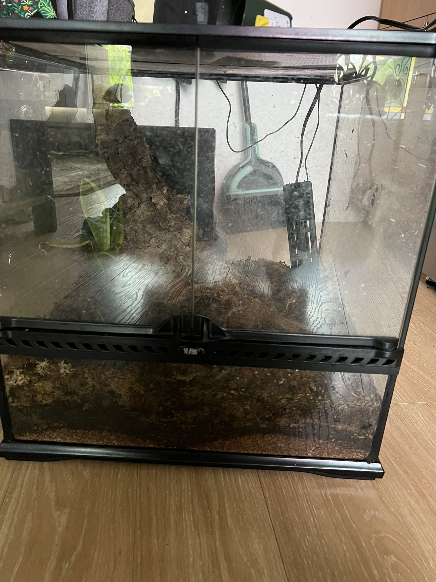 bioactive 18x18x18 terrarium