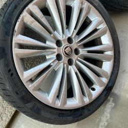 19 Tires Jaguar 