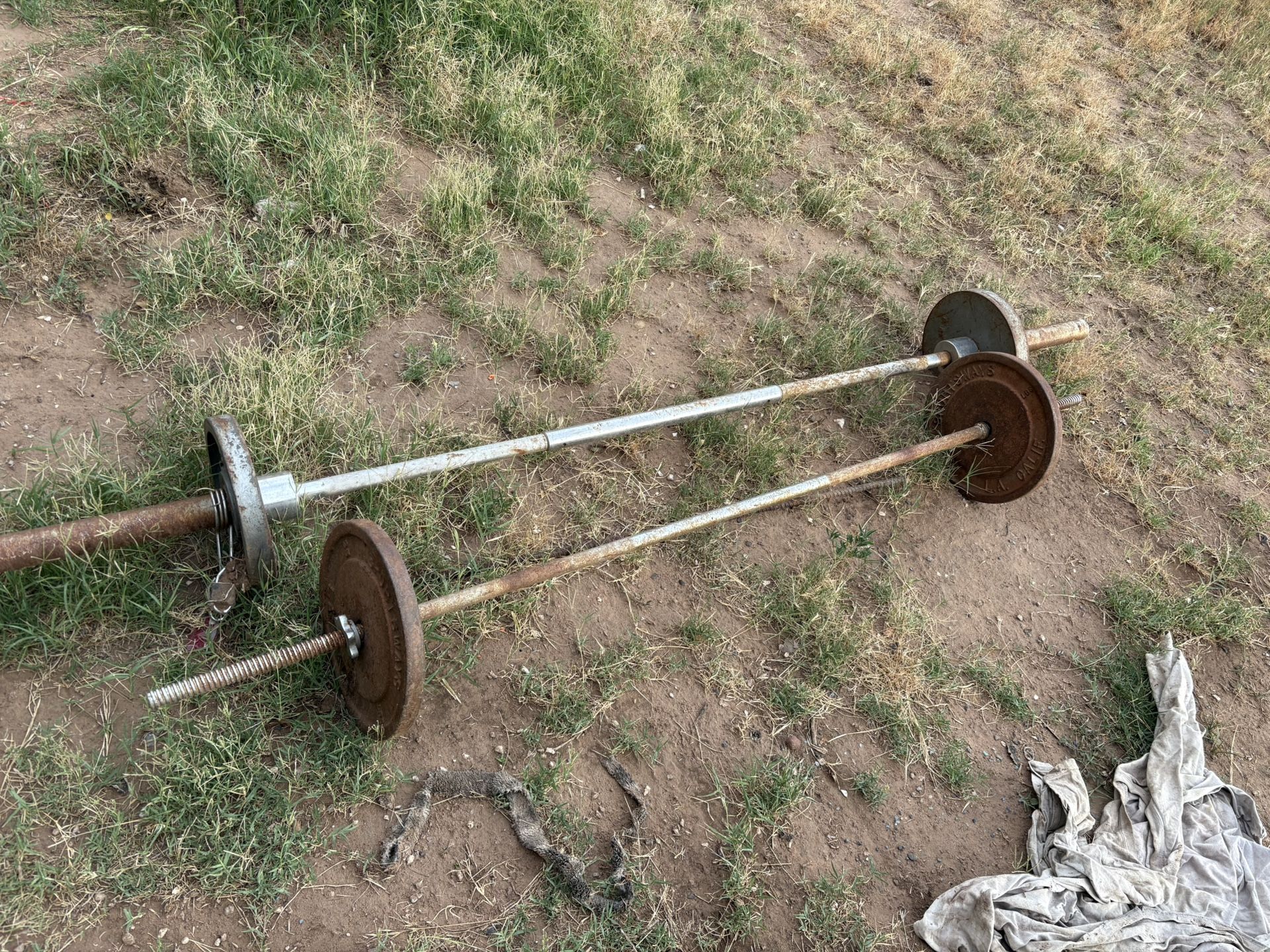 Weights