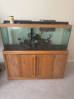75 Gallon Aquarium