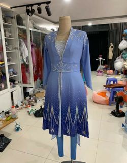 Elsa costume dress