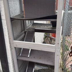 chinchilla cage 