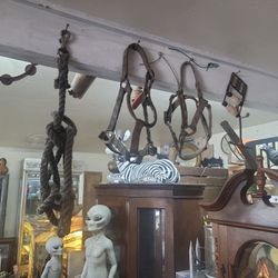 50 Shades Of Grey Room Items