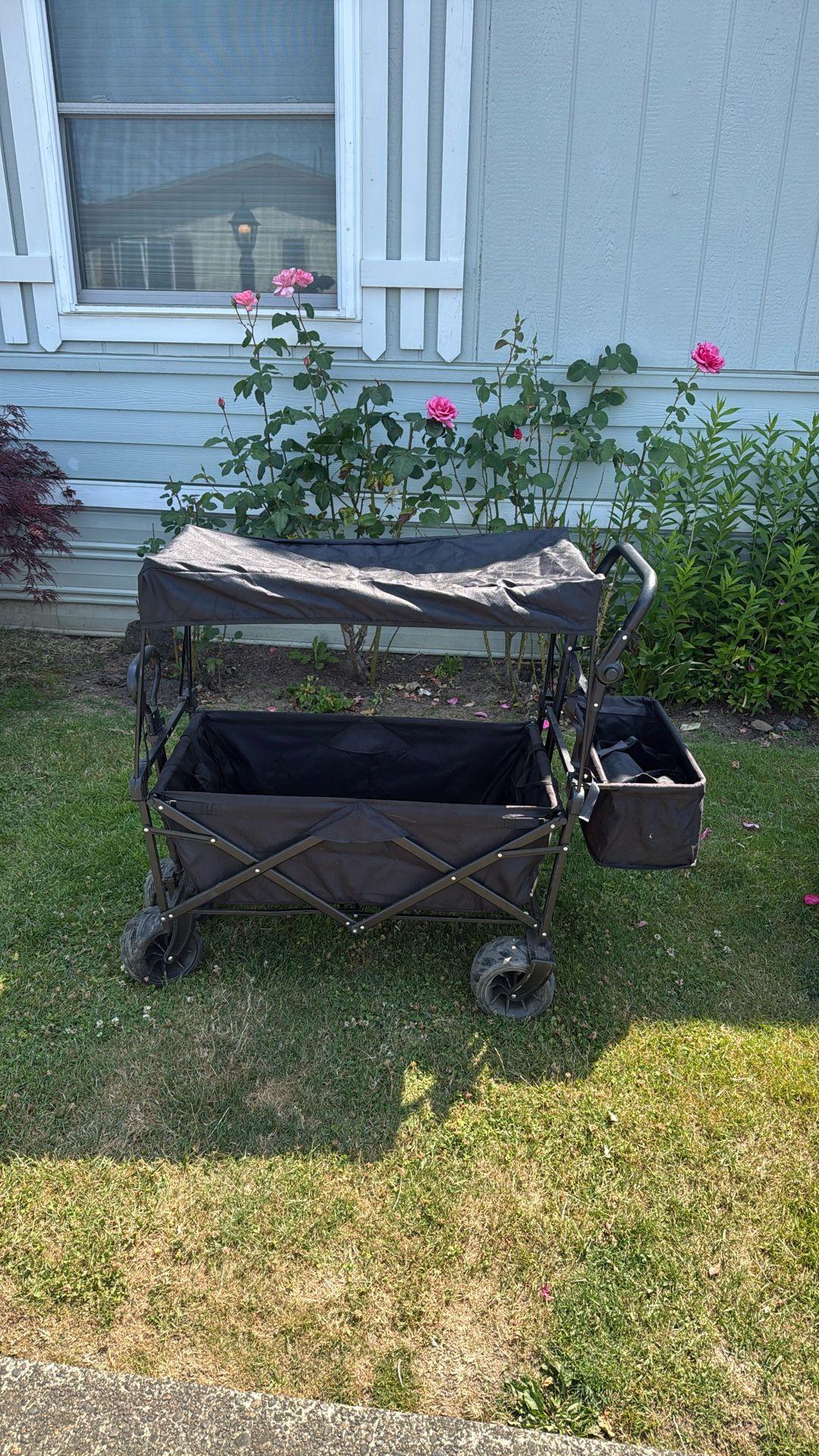 Wagon