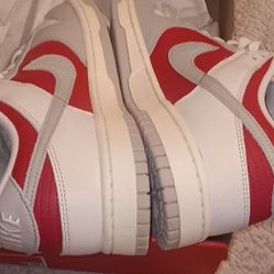 Nike Dunk Low Retro Light Iron Ore/Gym Red Retro HJ9093-030 11