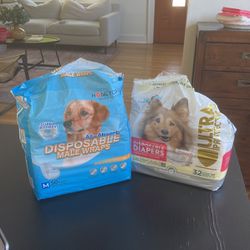 FREE - Dog Diapers Size M