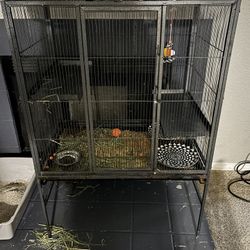 Rabbit Cage