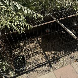Birdcage