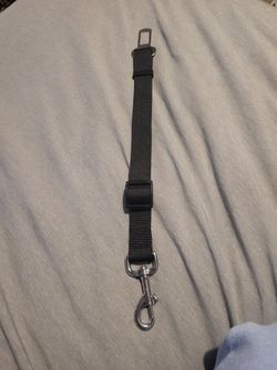 Dog Harness Seatbelt