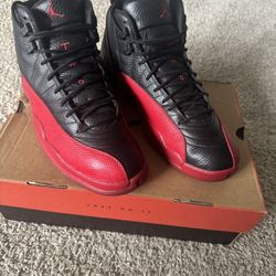 Jordan 12 (FluGame)