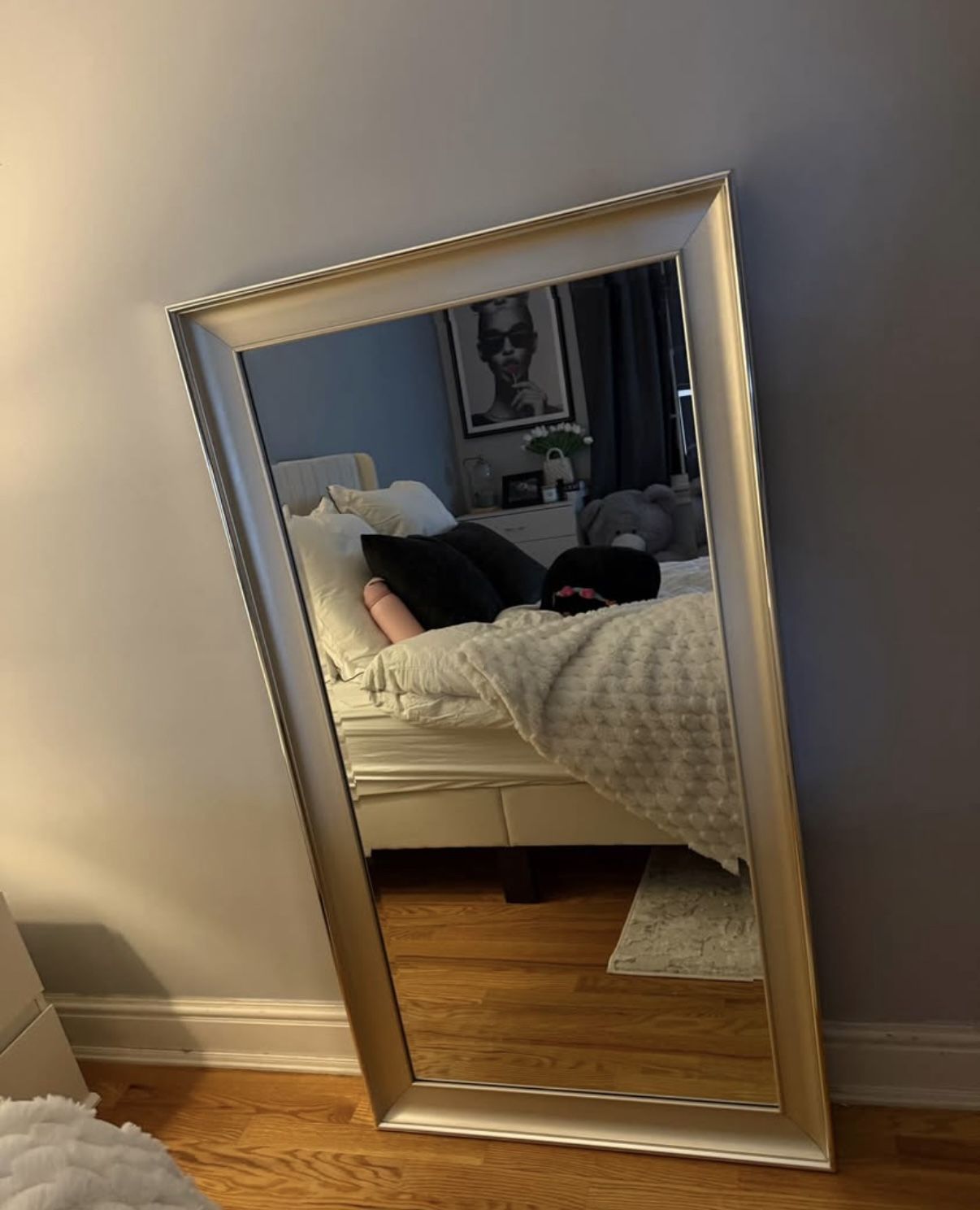 Mirror Silver Frame Standing Or Hanging