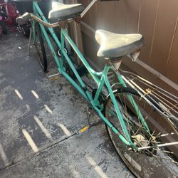 Schwinn Bike 