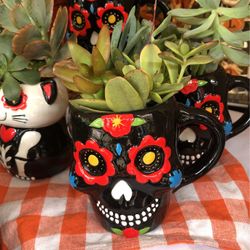 Day Of The Dead Succulent